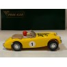 SLOT CAR PINK KAR CV AUSTIN HEALEY 3000 -1 24H.SLOT LLEIDA 2006 MESTRE LIMITED
